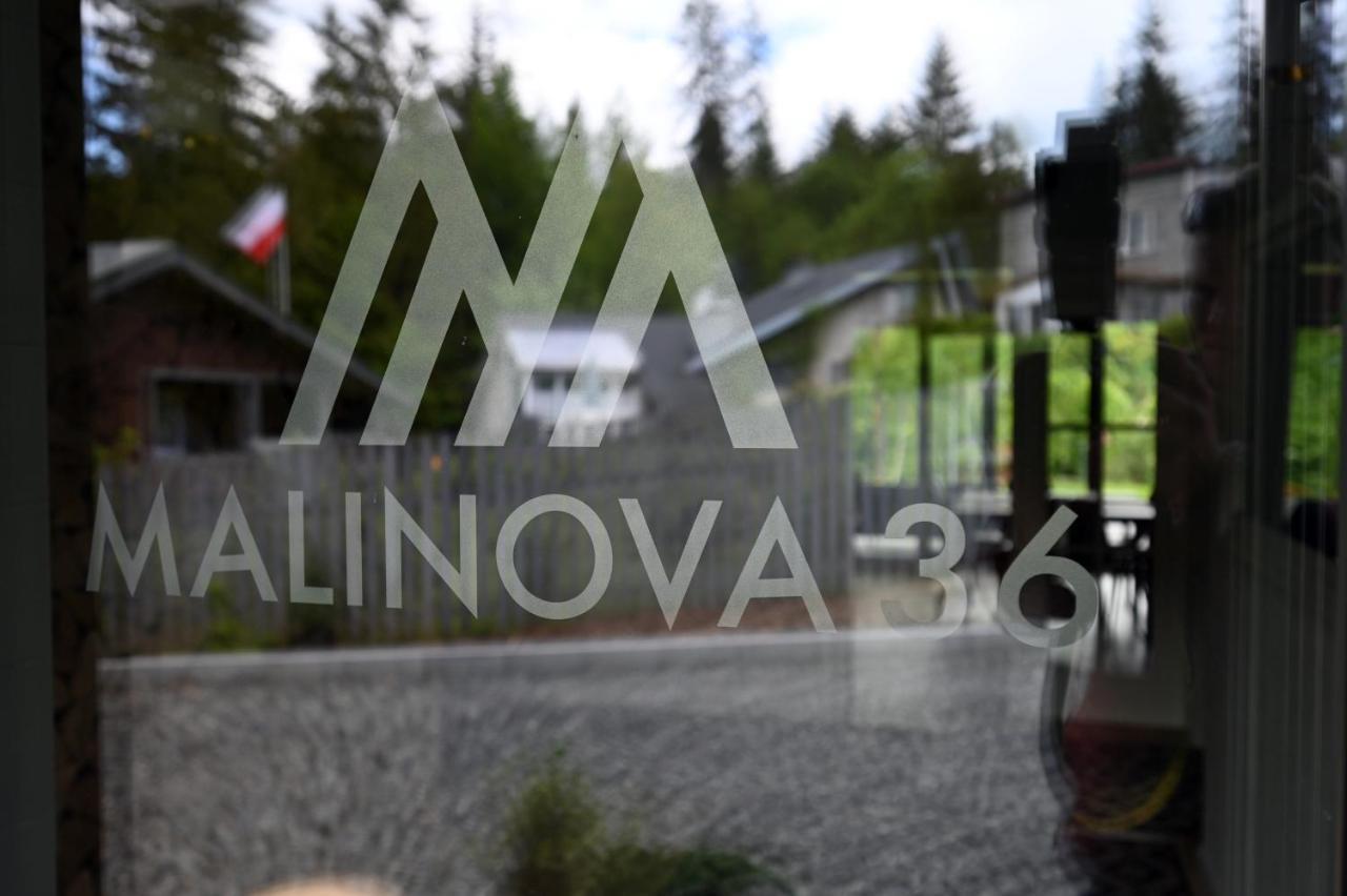 Malinova 36 Apartman Wisła Kültér fotó
